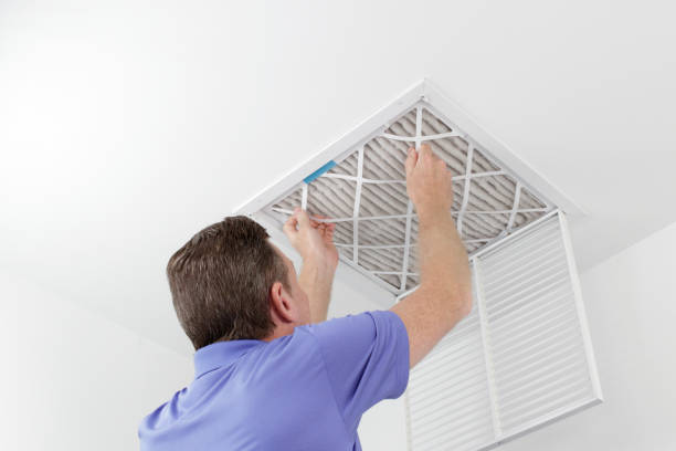 Best Air Duct Sanitizing Services  in Rocky Mount, NC